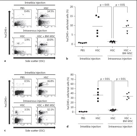 Figure 1 From Engraftment Efficacy Of Human Hematopoietic Stem Cells