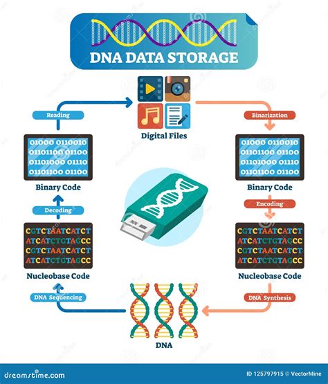 Dna Data Storage Infographic Vector Illustration Explained Technology Stock Vector