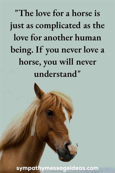 39 Moving Loss Of Horse Quotes Sympathy Message Ideas