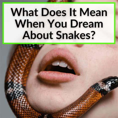 What Does It Mean When You Dream About Snakes