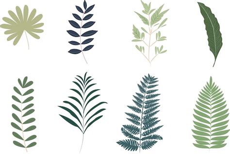 Premium Vector Set Of Leaves 8 Pieces