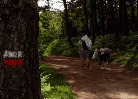 Carrera Plogging La Fusi N Entre Deporte Y Sostenibilidad