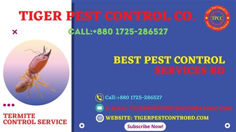 Best Mosquito Control। Mosquito Service। Mosquito Removal।mosquito