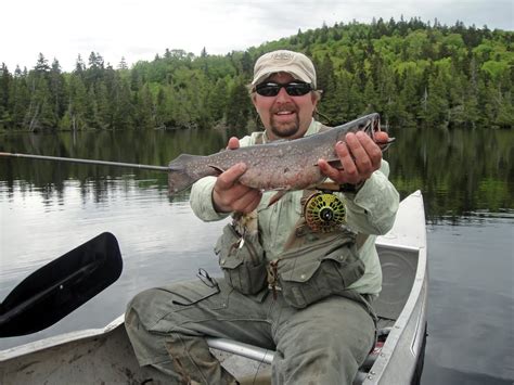 Northwoods Outfitters Trophy Maine Brook Trout