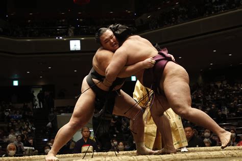 Tokyo Tokyo Half Day TourGrand Sumo Wrestling Site Watching In