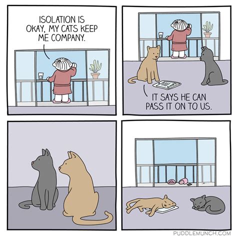 Cats and COVID-19 : r/funny