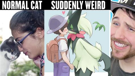 Video CAT BEHAVIOR GETS WEIRD ON MEOWSCARADA Pokemon Memes Hot