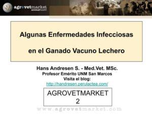 C Mo Se Puede Aumentar La Producci N De Leche En Los Cerdosbr