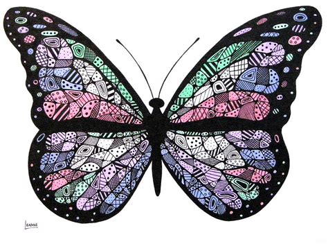 butterfly Art Drawing - Lorine Molter