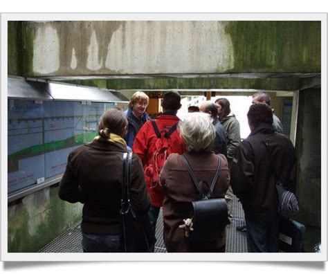 Le Suivi Des Poissons Migrateurs Pr Sentation De L Eptb Eptb De La