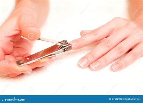 Woman Cutting Nails Stock Photo Image Of Cutter Health 37642962