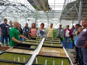 Aquaponics Master Class Learn About Aquaponics From The Experts