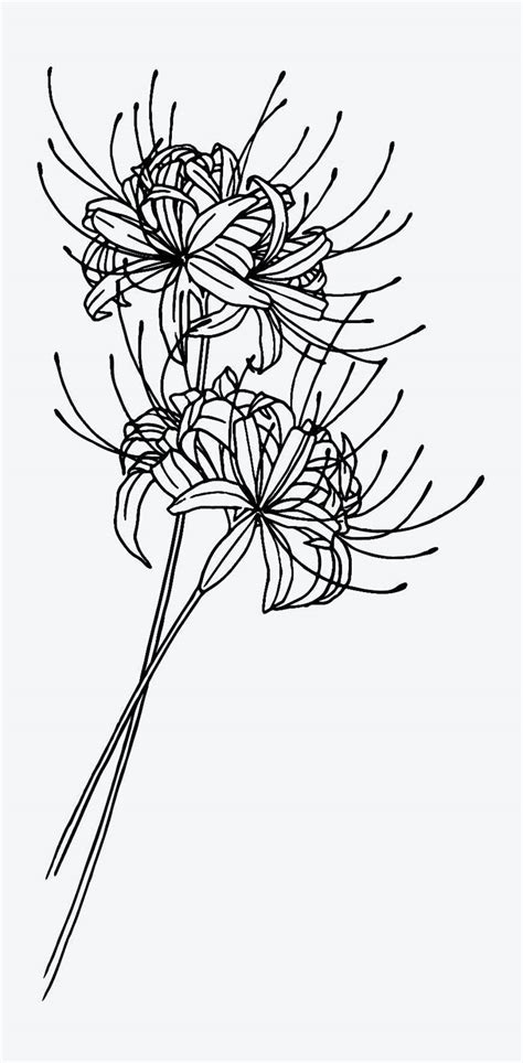 inkbox spider lily tattoo outline spider lily tattoo stencil lily