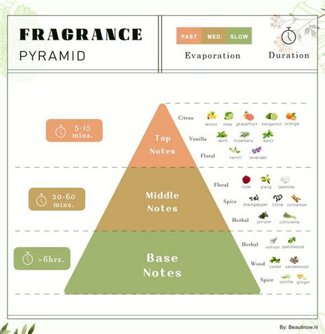 Perfume Olfactory Pyramid: Perfume Notes Explained | Perfume scents, Perfumery, Essential oil ...