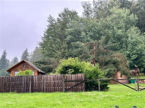 Unwetter bei Schleusingen Baum stürzt auf Bungalow Hildburghausen