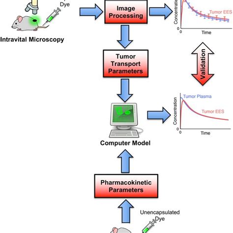 Measurement Of Transport Parameters And Computer Model Validation With