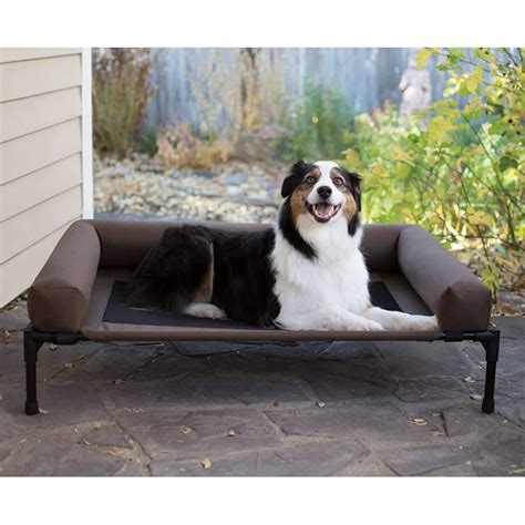 20 Best Elevated Dog Beds (Reviews Updated 2019) - Dog Product Picker