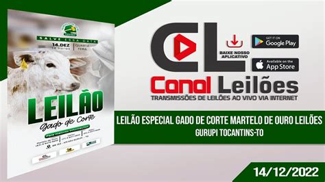 canalleiloes LEILÃO ESPECIAL GADO DE CORTE MARTELO DE OURO