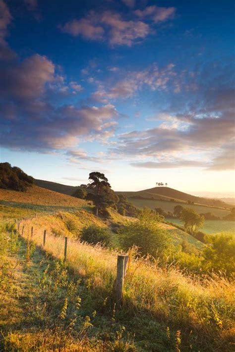 Colmers Hill Near Bridport On A Warm Sunny Morning Scenic Landscape