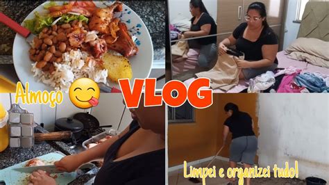 VLOG FIZ ALMOÇO LIMPEI E ORGANIZEI TUDO YouTube