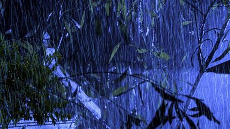 Fall Into Sleep In Minutes With Torrential Rain On Metal Roof