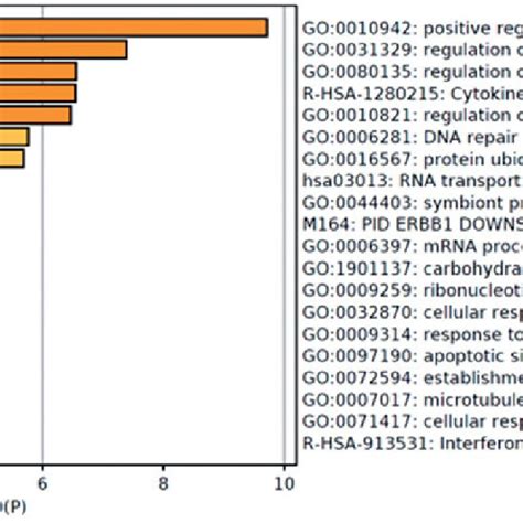 Heatmap Of Enriched Terms Across Input Gene Lists Colored By P Values