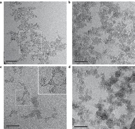 Analysis Of Calcium Phosphate Precipitation In The Absence And Presence