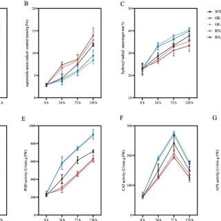 Effects Of Salt Stress On Chlorophyll And Chlorophyll Fluorescence In