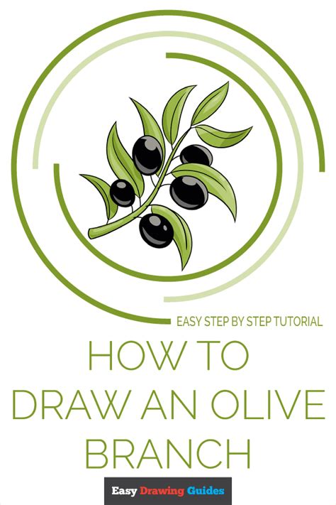 How To Draw Olive Tree Leaves Talmadge Devell