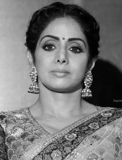 Sridevi The Biodiary