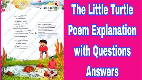 The Little Turtle Poem Explanation With Questions Answers In Hindi