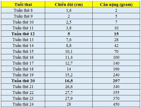 Thai Nhi 21 Tuần Tuổi Nặng Bao Nhiêu Gam