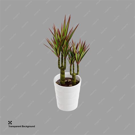 Premium PSD | Vibrant dragon tree indoor plant 3d illustration