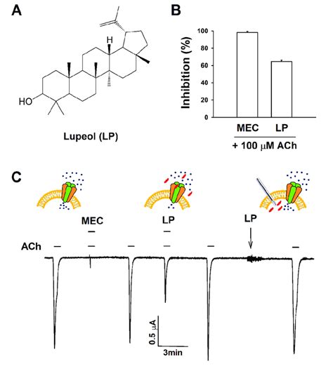 Structure And Regulatory Effects Of Lupeol On The Nicotinic