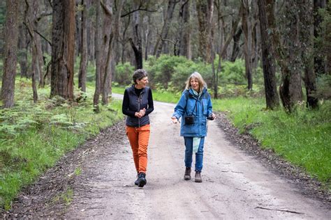 Tree Photography Workshop With Alison Pouliot Strathbogie Ranges