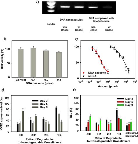 Nanocapsule Delivery Of Shrnas To Downregulate Ccr And Inhibit Hiv