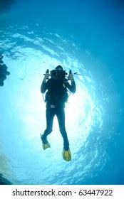 Female Scuba Diver Underwater Video Camera Stock Photo 63447922 | Shutterstock