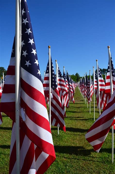 American Flag Heroism Flies Field Of Honor Stock Photo Image Of Flags