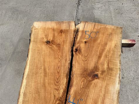 Honey Locust Slab Le2259 5b 94 75 Irion Lumber Company