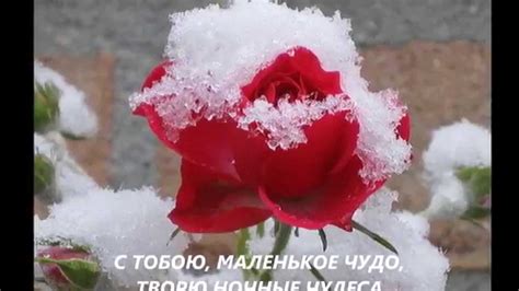 В ОЖИДАНИИ ЧУДА. - YouTube