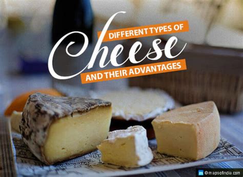 Different Types Of Cheese And Their Advantages Food