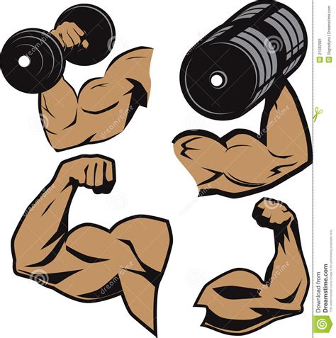 muscle arm clipart 10 free Cliparts | Download images on Clipground 2024