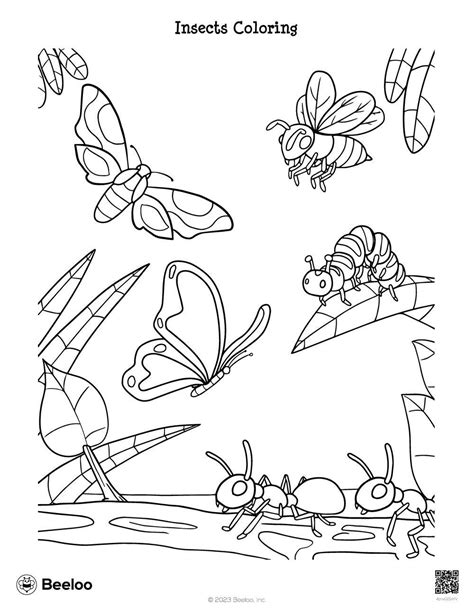 Insect Coloring Pages For Preschoolers Coloring Pages