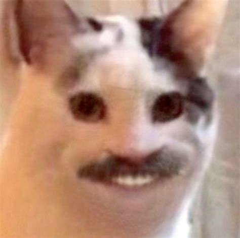 Smiling Cat Meme Hd Meme Oyoy Mania