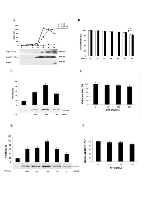 LPS and TNF α stimulated HepG2 cells to release HMGB1 in a time and