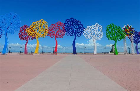 Trees Of Life Nicaragua Capital Transformed Into First Ladys New