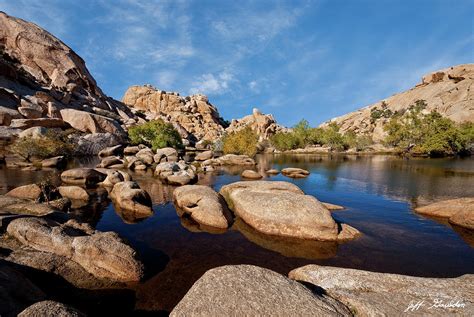 Mojave Desert Oasis Photograph by Jeff Goulden - Pixels