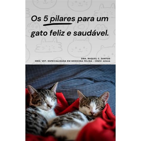 Os 5 Pilares para um gato feliz e saudável Anderson Oliveira Hotmart