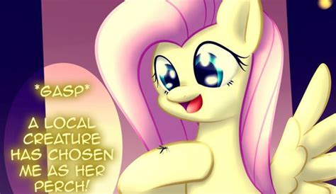 Mlp Fluttershy Pregnant