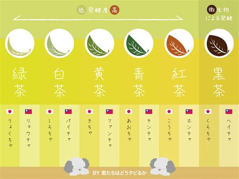 【緑茶・烏龍茶・紅茶って何が違うの？】ティースタンドで飲まれるお茶の種類について分かりやすく解説｜君たちはどうタピるか